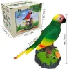 Talking Bird Toy 2
