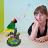Talking Bird Toy 3