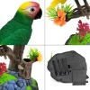 Talking Bird Toy 6