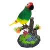 Talking Bird Toy 7