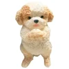 Cat Fidget Toy for Kids Sensory Toys Squeeze Toys Desk Decor Cat Dog Shape Collectible Figurines Toys Soft Flocking Fidget Toy - Image 2