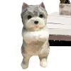 Cat Fidget Toy for Kids Sensory Toys Squeeze Toys Desk Decor Cat Dog Shape Collectible Figurines Toys Soft Flocking Fidget Toy - Image 3